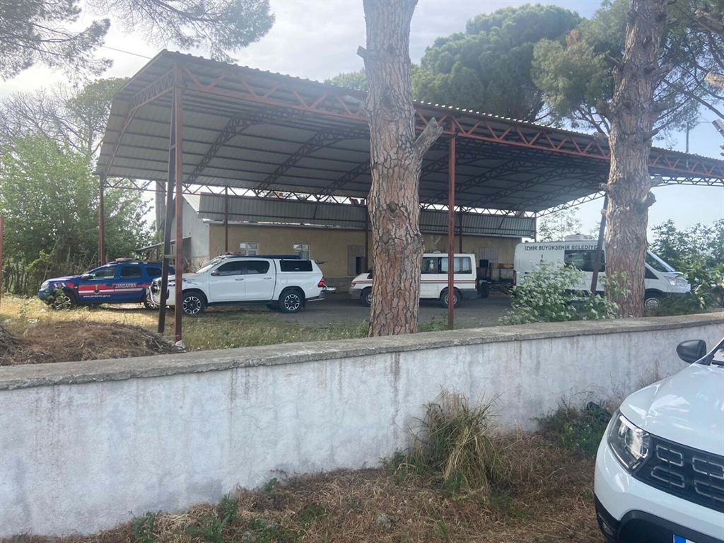 Olayın Detayları ve Olay Yeri İncelemesi