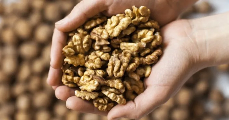 752x395-ceviz-tuketimi-bircok-saglik-sorununun-onune-gecebiliyor-1622104353384