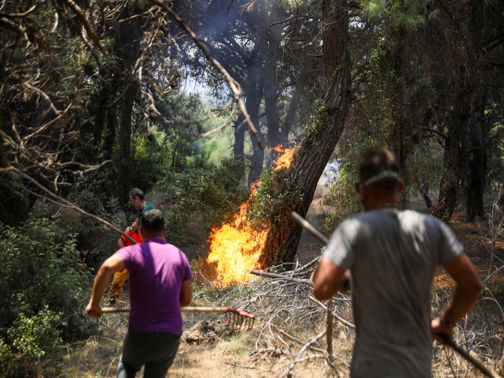 Antalya Orman Yangınına Müdahale ve Bölgedeki Gelişmeler