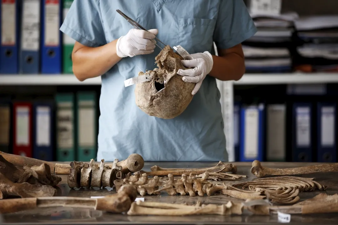 7f89bd779b9f6b19fbb1133056b730e7f50dfc49fc06b95f998317d6c3f8a3a0