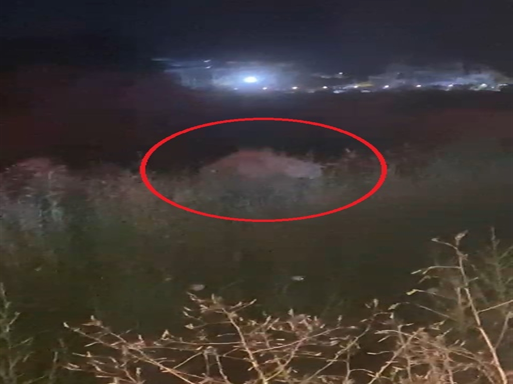 Arama ve Güvenlik Önlemleri
