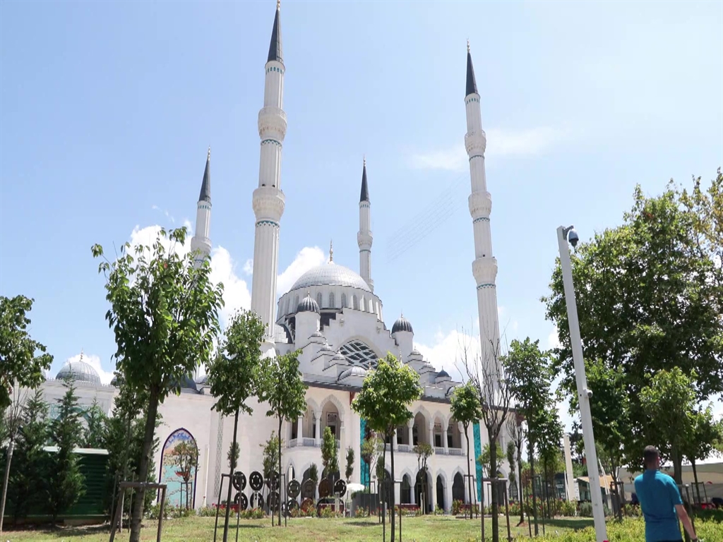 Hizmetin Amacı ve Geçmişi