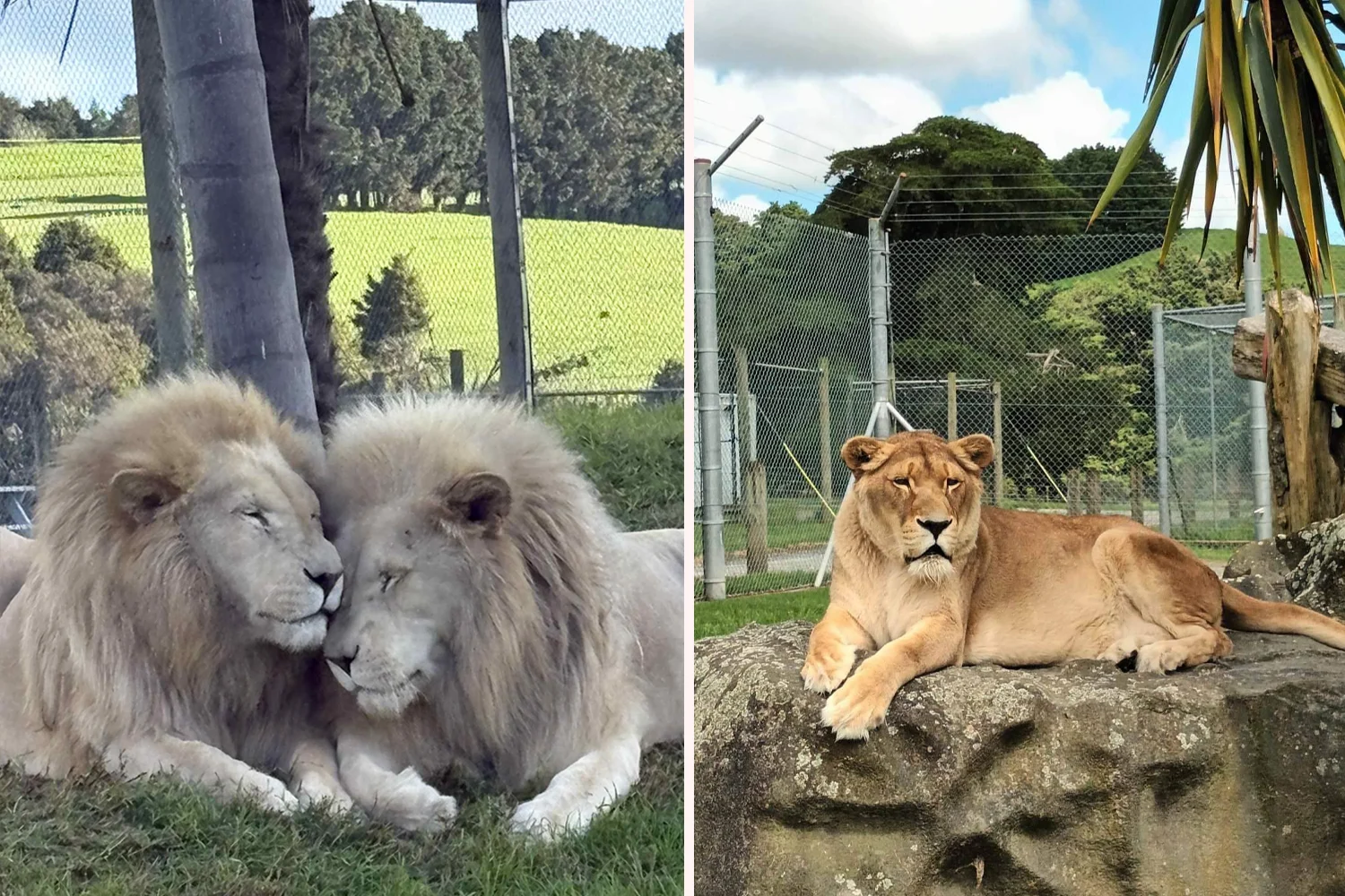 8a719760-b9d8-11f0-abdf-dd72e559810b