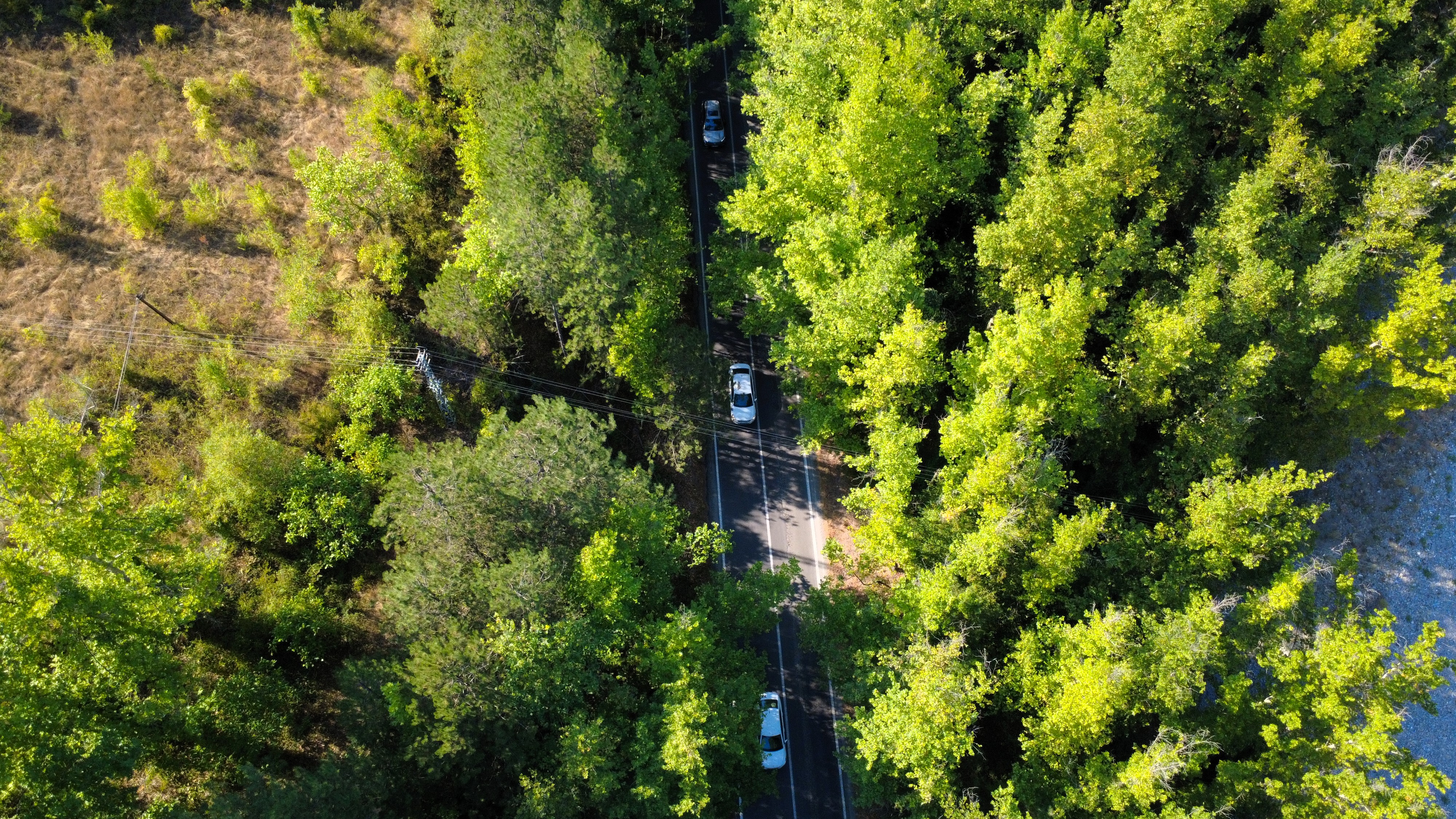 AA-20250906-39034792-39034788-SAFRANBOLUNUN_AGAC_TUNELI_MISAFIRLERINE_YESILIN_ICINDE_YOLCULUK_KEYFI_YASATIYOR