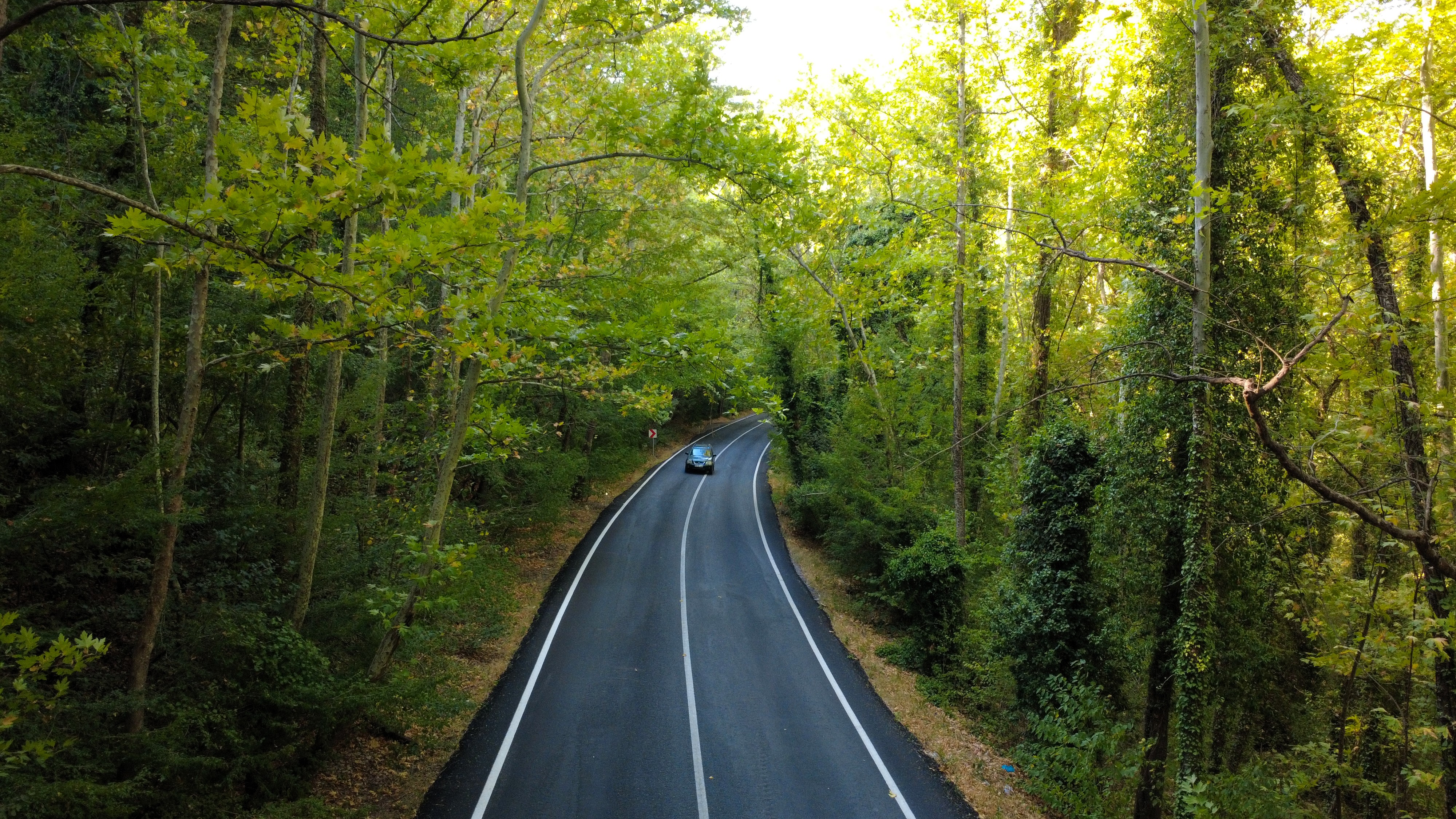 AA-20250906-39034792-39034789-SAFRANBOLUNUN_AGAC_TUNELI_MISAFIRLERINE_YESILIN_ICINDE_YOLCULUK_KEYFI_YASATIYOR