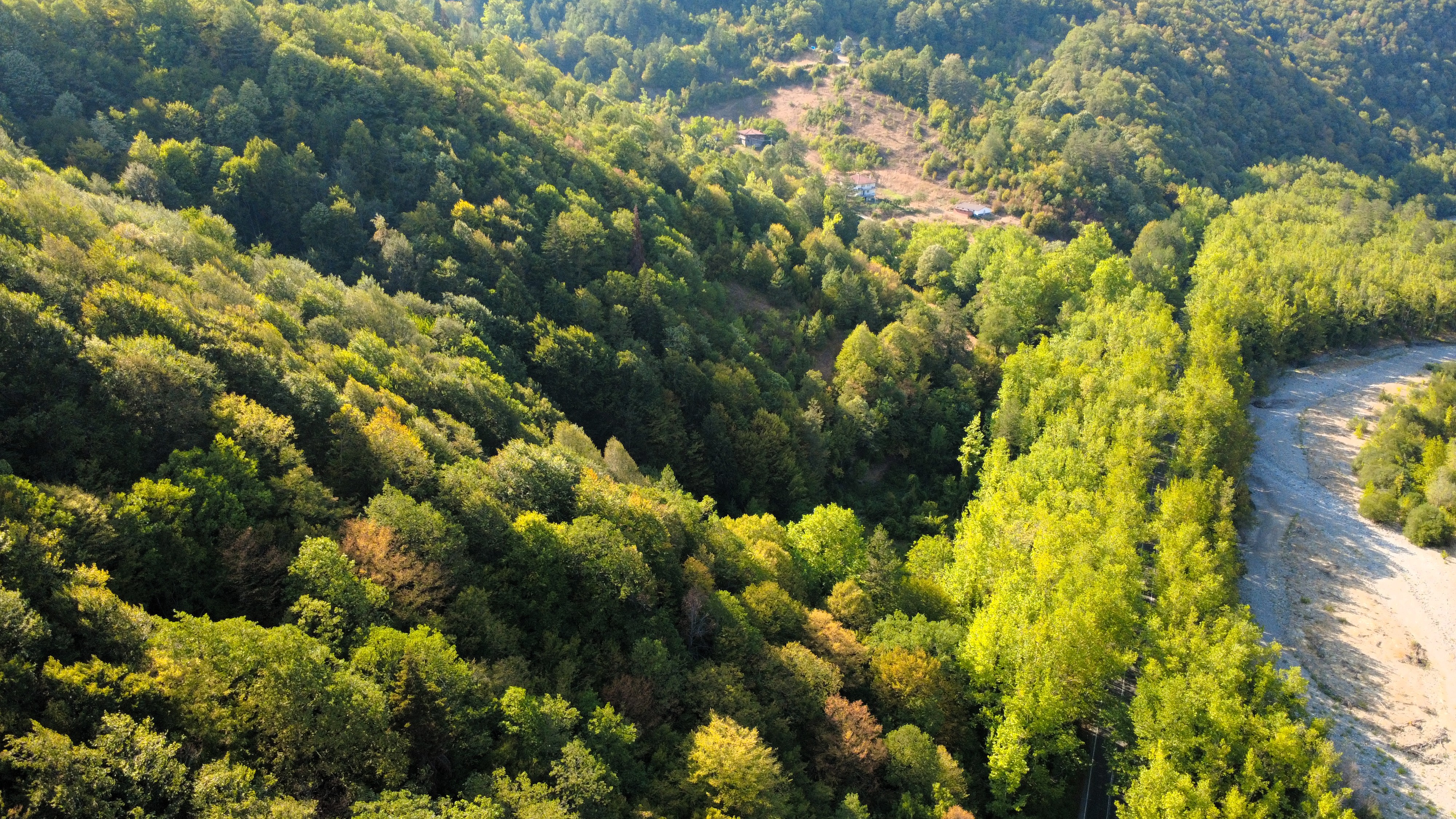 AA-20250906-39034792-39034790-SAFRANBOLUNUN_AGAC_TUNELI_MISAFIRLERINE_YESILIN_ICINDE_YOLCULUK_KEYFI_YASATIYOR