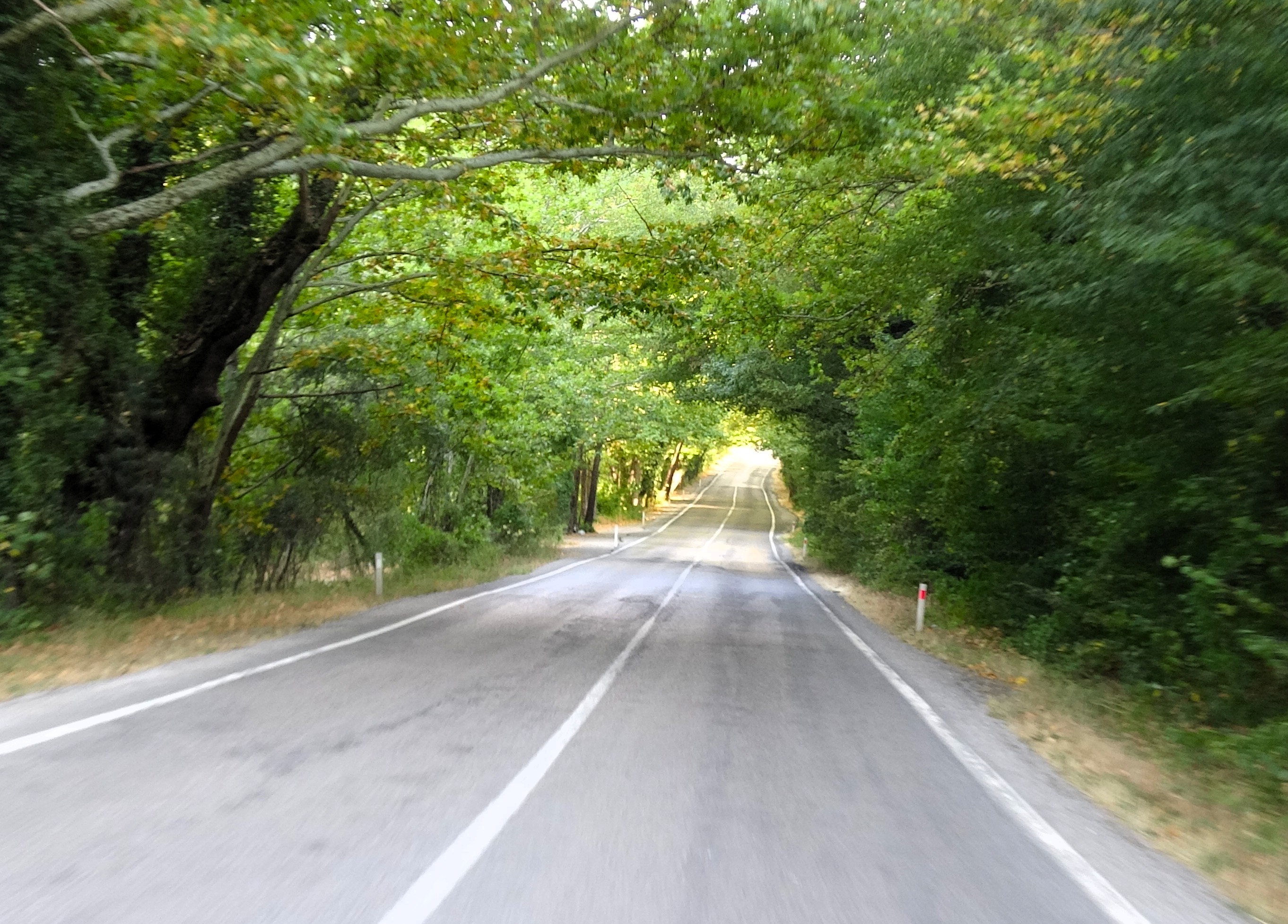 AA-20250906-39034792-39034791-SAFRANBOLUNUN_AGAC_TUNELI_MISAFIRLERINE_YESILIN_ICINDE_YOLCULUK_KEYFI_YASATIYOR