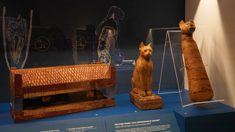 AdobeStock_470180324_Editorial_Use_Only-788x444