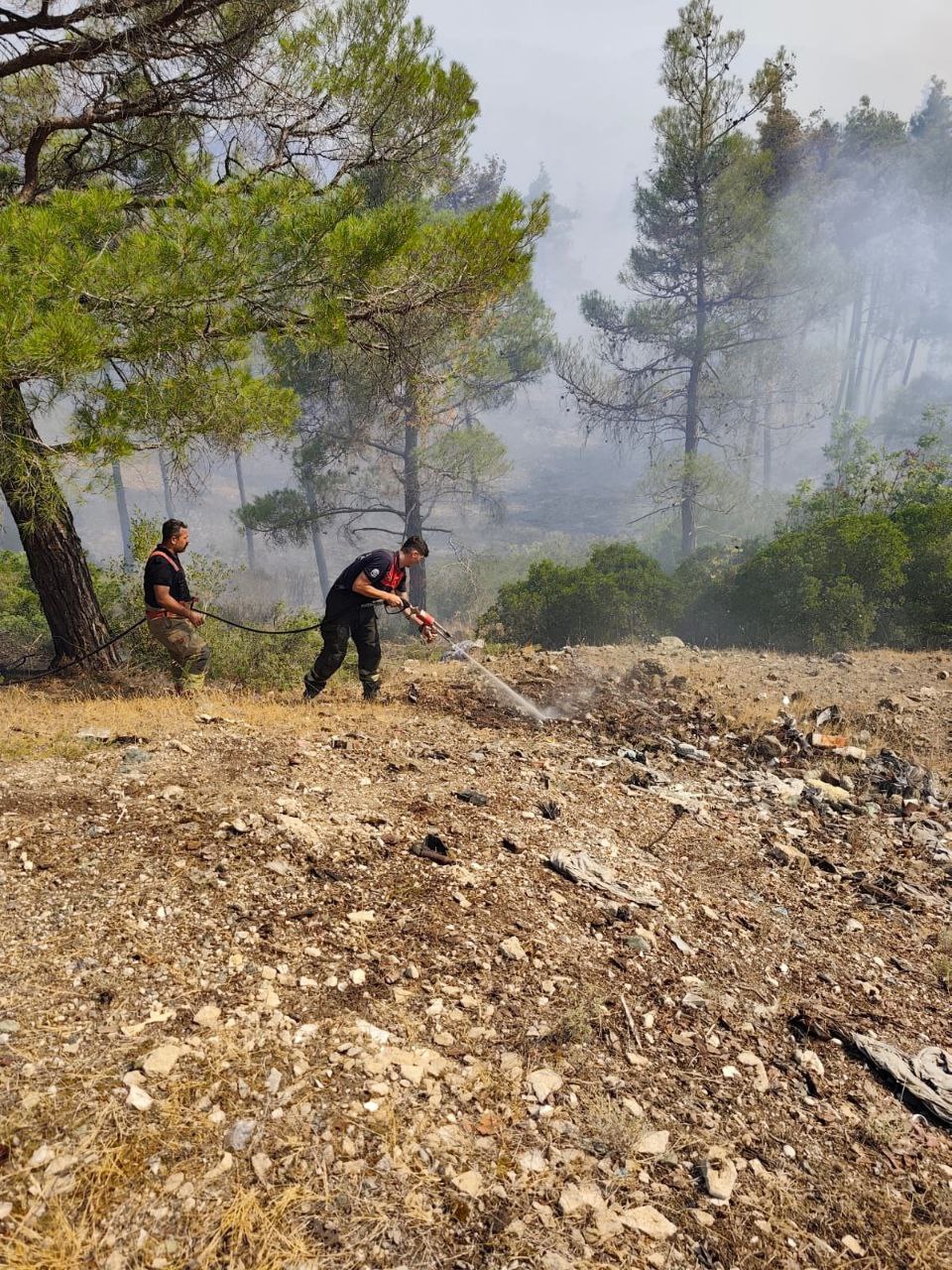 Resmi Müdahale ve Uluslararası Destek