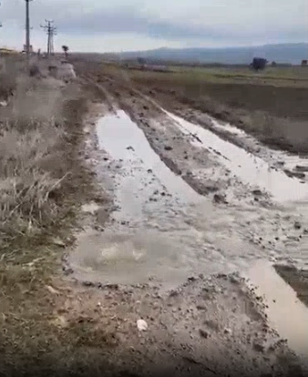 Ekran görüntüsü 2026-02-18 171748