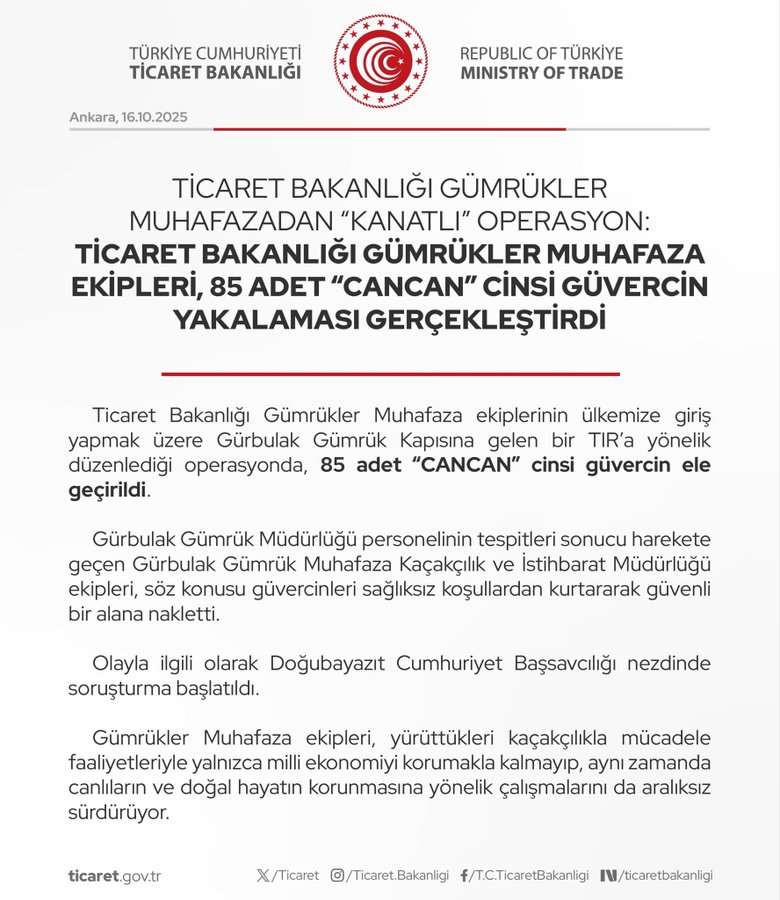 GÜMRÜK MUHAfaza Ekipleri: Canlıların Korunması ve Kaçakçılıkla Mücadeleye Yönelik Anlık Müdahale