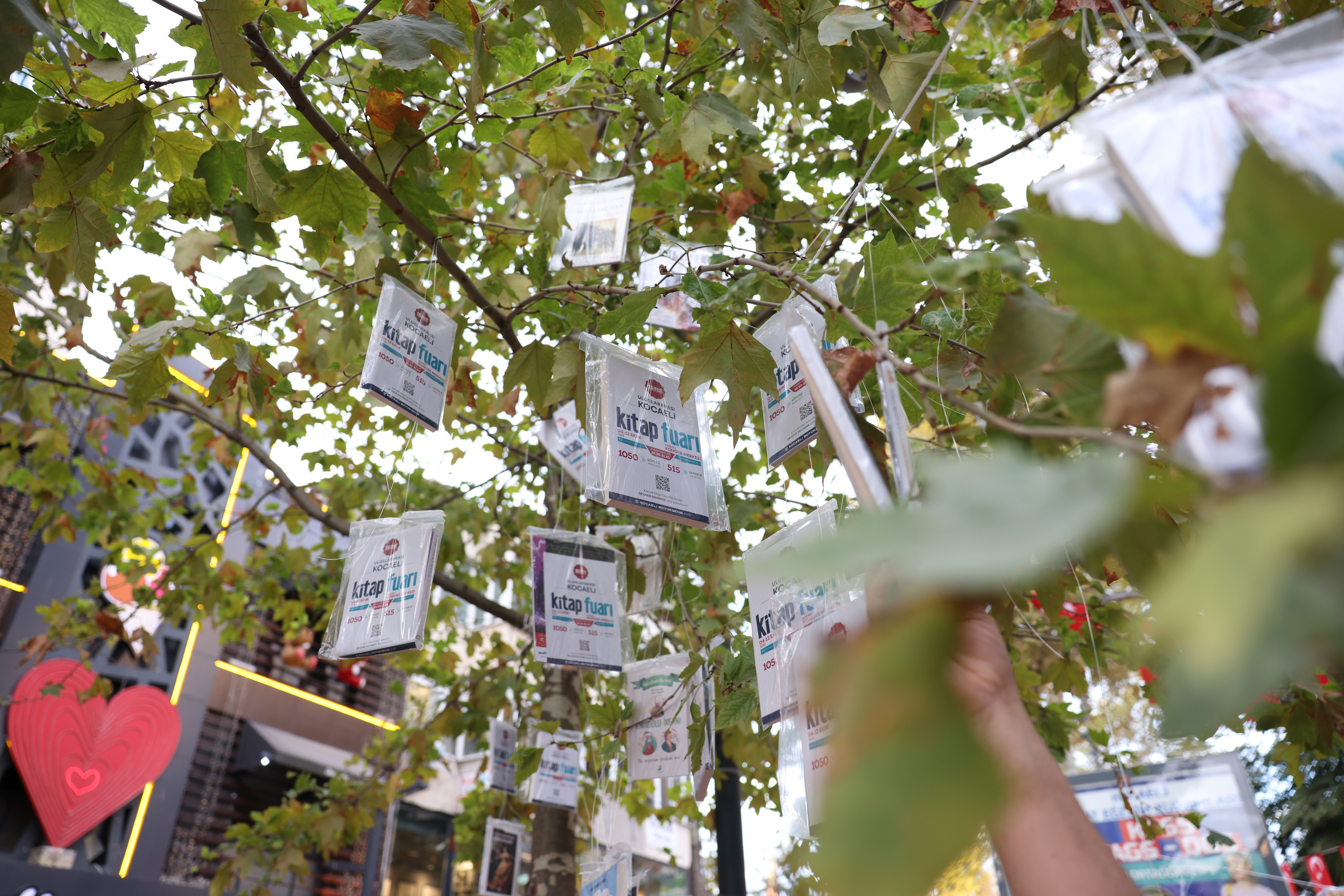 Kocaeli'de gelenek bozulmadı, kitaplar yine ilk ağaçlarda açtı! (33)