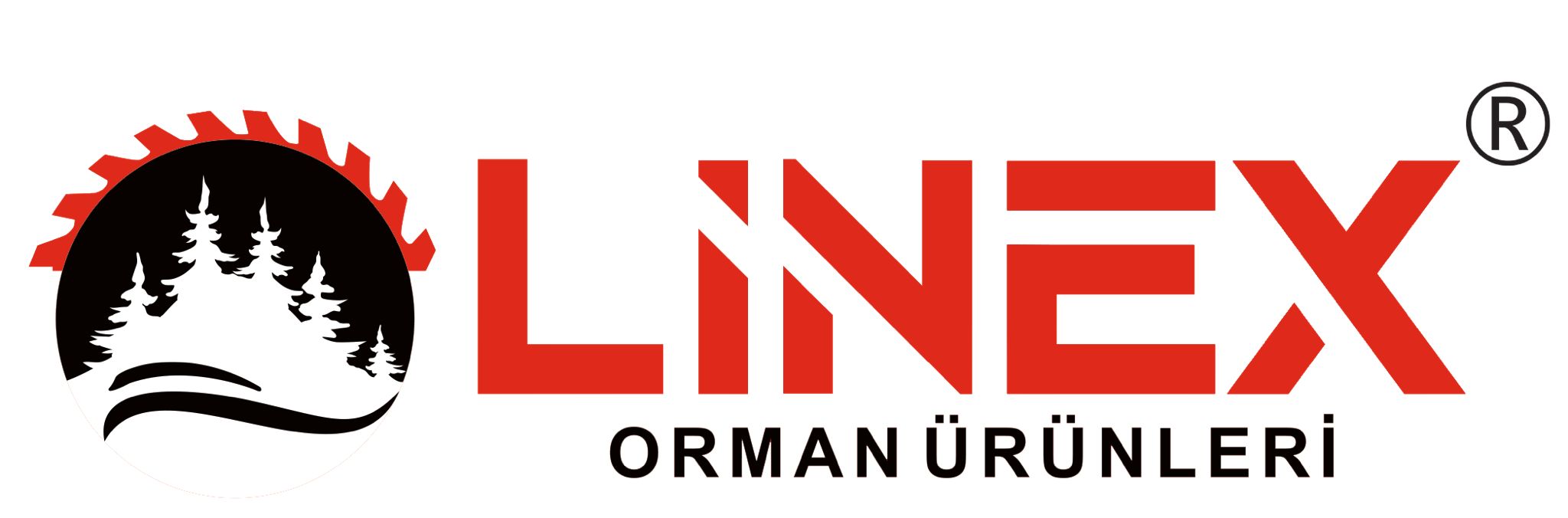 Hamit Elmas'ın Vizyonu ve Kuruluş Hikayesi