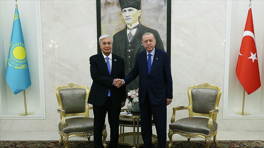 WhatsApp Image 2025-07-29 at 10.50.10