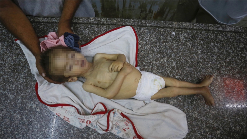 WhatsApp Image 2025-07-30 at 14.17.20