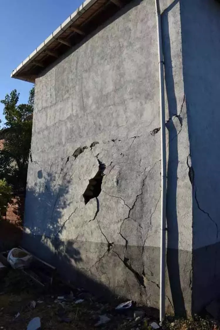 WhatsApp Image 2025-08-11 at 10.08.47