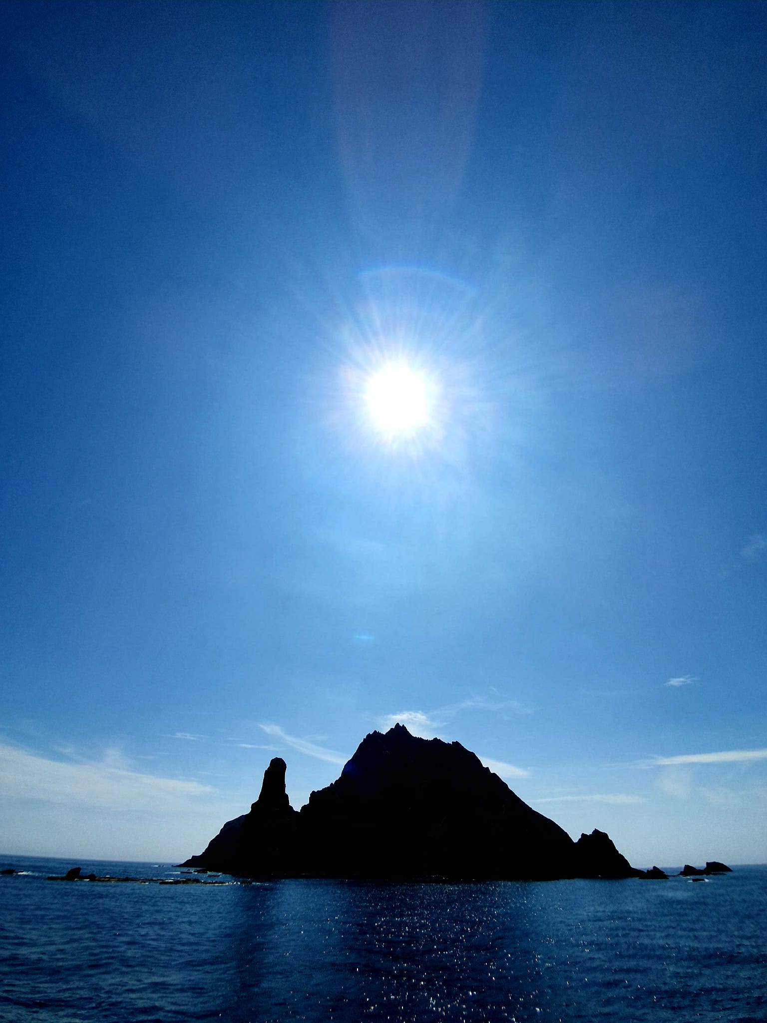 WhatsApp Image 2025-11-11 at 15.41.21 (1)