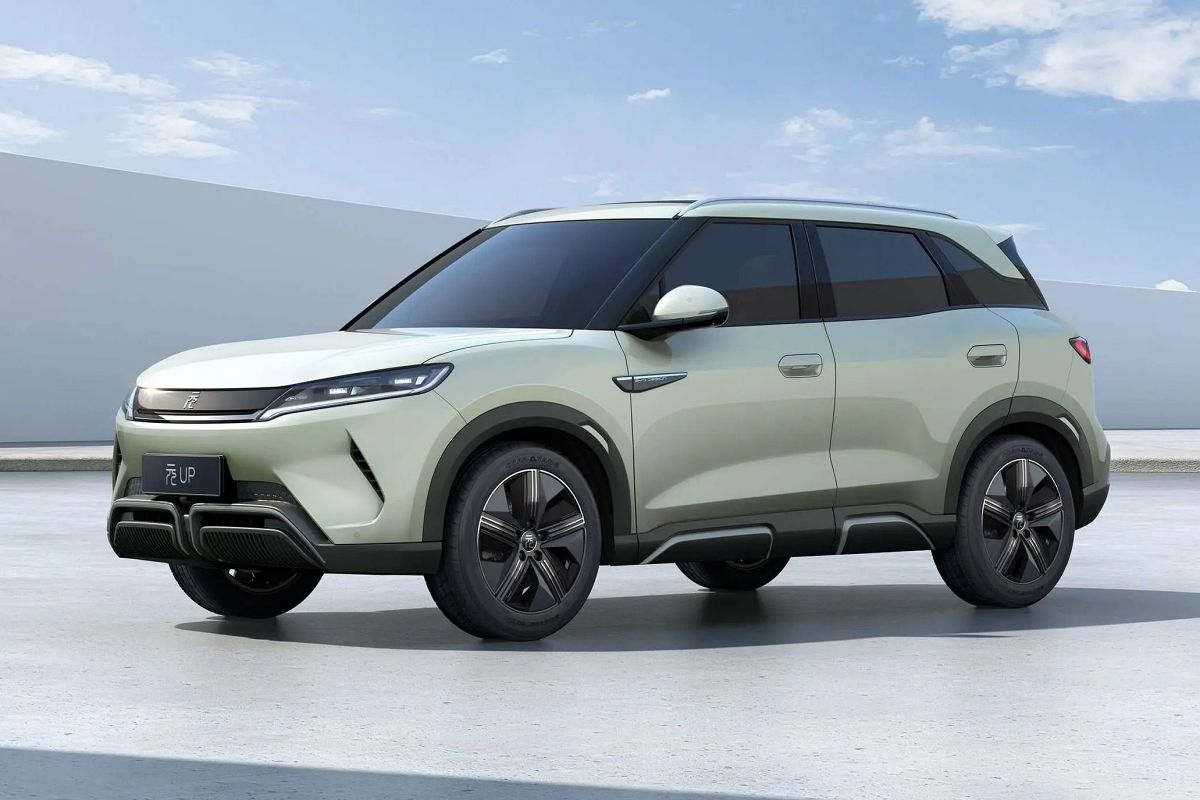 WhatsApp Image 2025-11-24 at 15.13.56 (1)