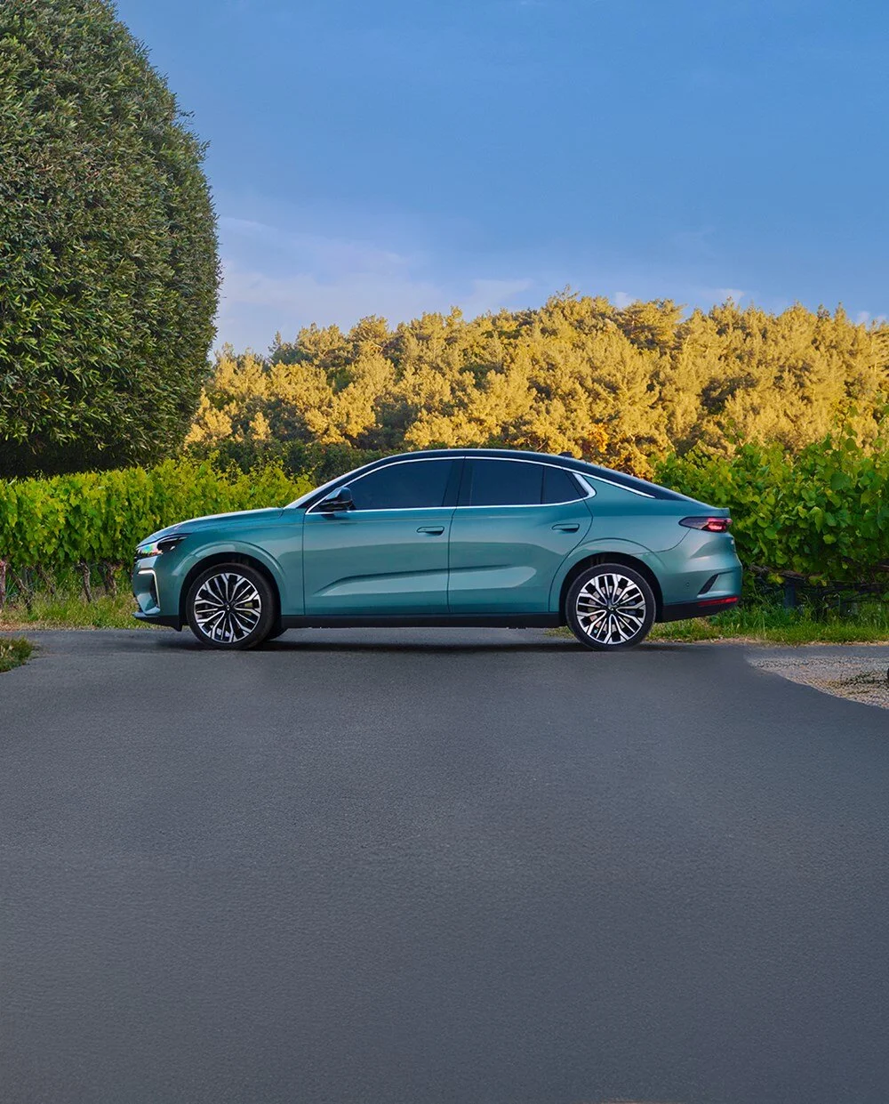 XA17Vf6EdEOt15NJY0x5uA