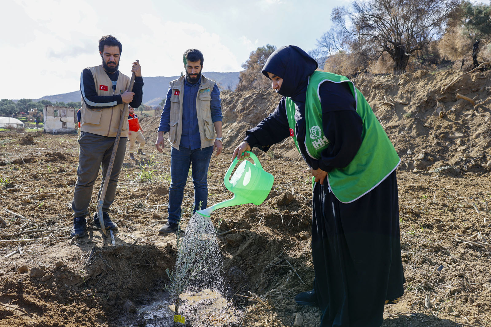 İzmir'de Başlayan Zeytin Fidanı Destek Projesi: 21 Bin 500 Fidanlık Hedefle Yeni Planlar