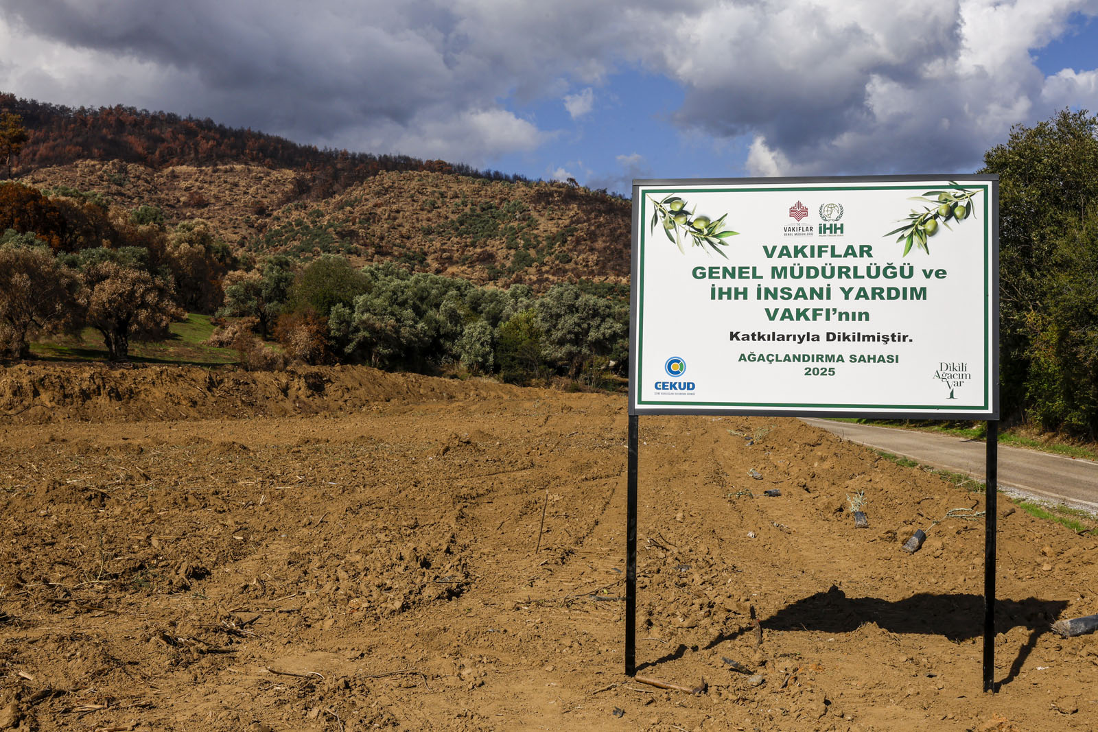 İzmir'de Başlayan Zeytin Fidanı Destek Projesi: 21 Bin 500 Fidanlık Hedefle Yeni Planlar