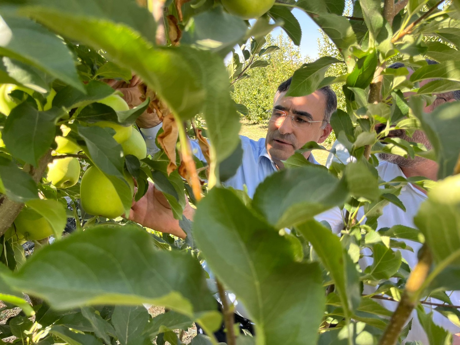 cc454390-d573-4664-a4f5-903d475e45e1