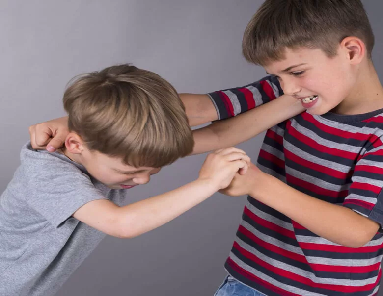 Gıda Katkı Maddelerinin Çocuklar Üzerindeki Etkileri: Akran Zorbalığı ve Davranışsal Değişimler