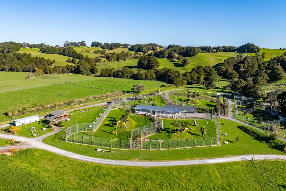 f9e38f40-b9d8-11f0-bfff-66b4f0caa3ce