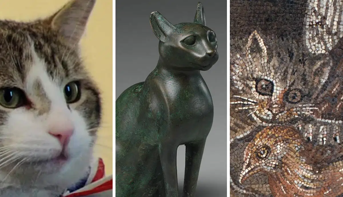 history-of-cats-egyptian-bastet-pompeii