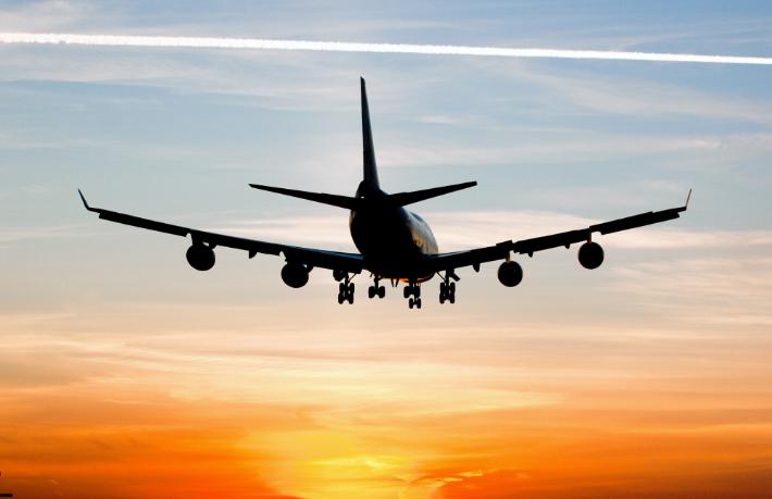 image-17693696981066763714