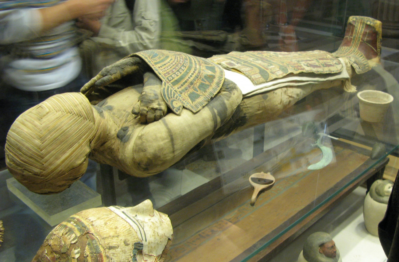 image_2025-02-24_000523258