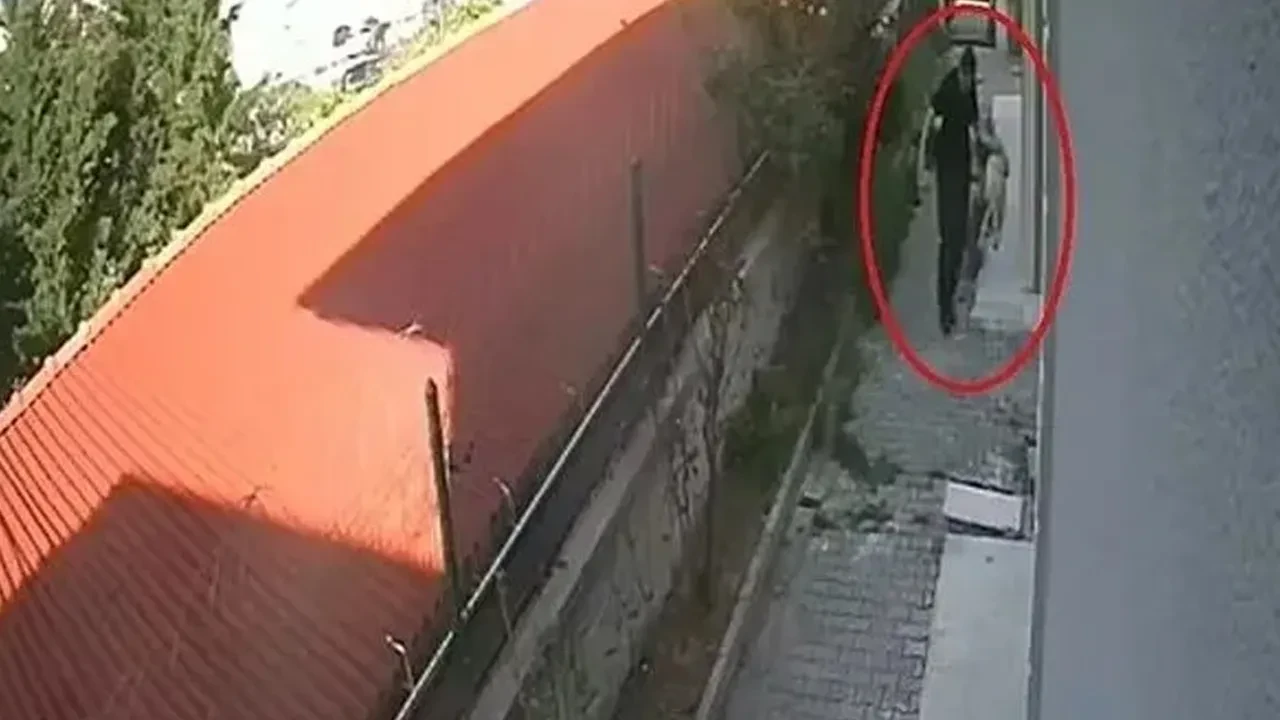 sapik-doktorun-kopeklere-yaptiklari-kan-dondurdu-istismarda-bulunup-parcaliyormus-kon-3225057_202506051622_3