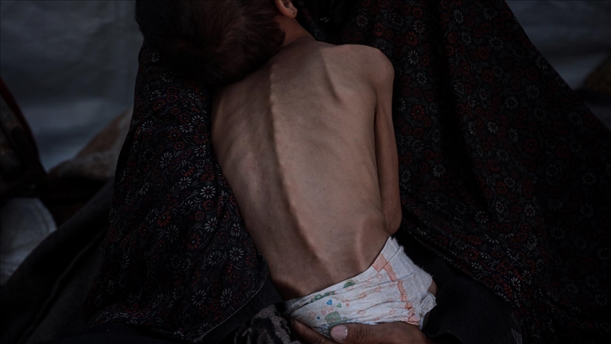 thumbs_b_c_001001661a076384256e33b2c1554f41