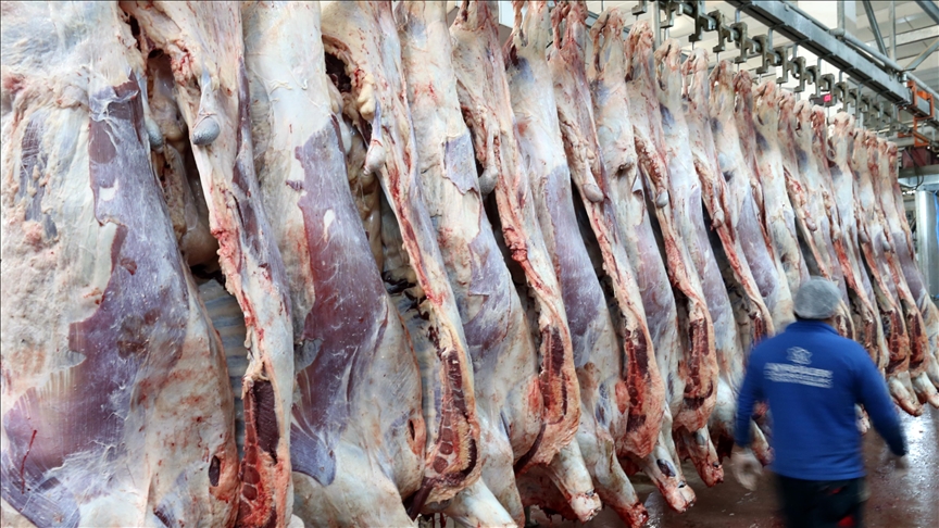 thumbs_b_c_1eedbcbe4f6b58d66571db6a4d88c572