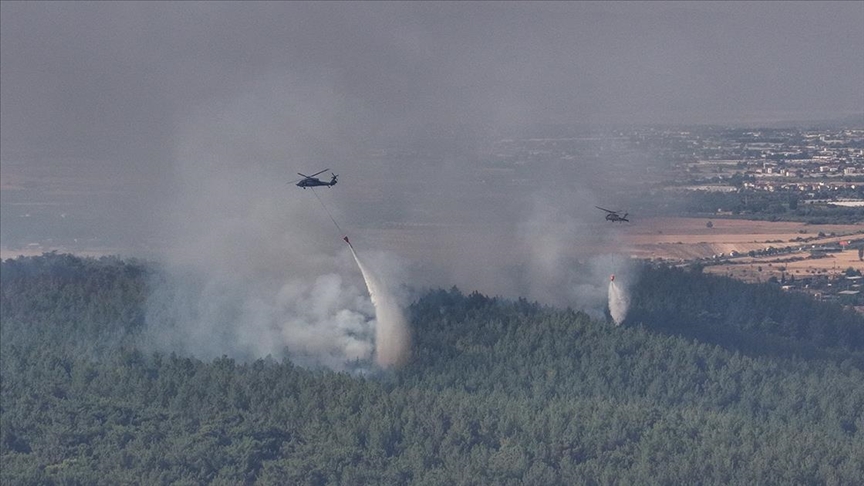 İzmir Ödemiş'te Orman Yangını ve Çevresel Etkiler