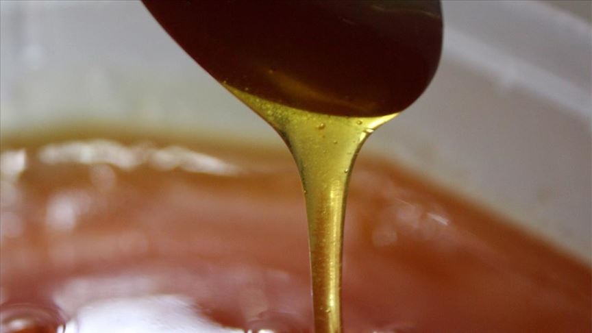 thumbs_b_c_2a23bfea730abe7a6eaaf3c4d92225fd