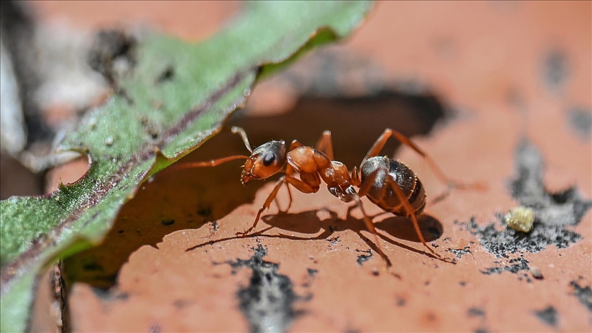 thumbs_b_c_61417e058f9bebca232f14807de477f0