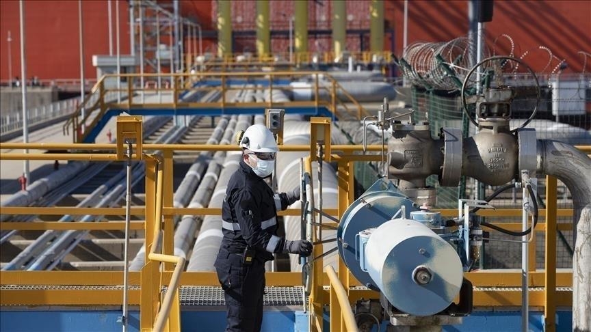 thumbs_b_c_6d3c902d9e188c5311cdd553c19b745d