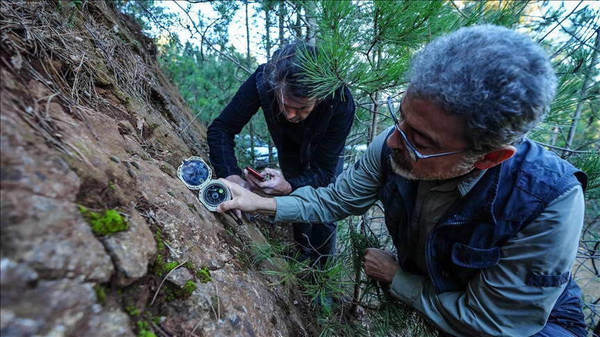 thumbs_b_c_6ffc9be1a9df3477c4a8e803901b2b9c