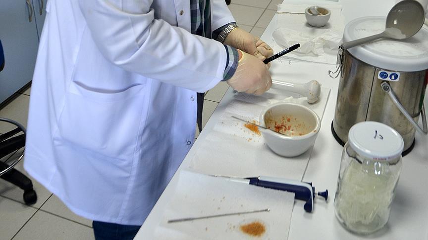 Gıda Katkı Maddeleri: E Numaraları, Kodlama ve Helal Hassasiyeti