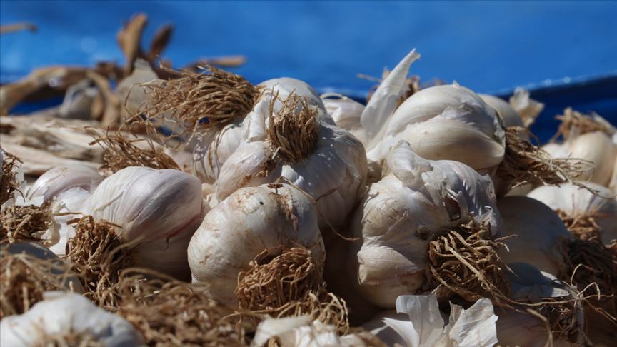 thumbs_b_c_900942eb3081147455b2681c073efeb5