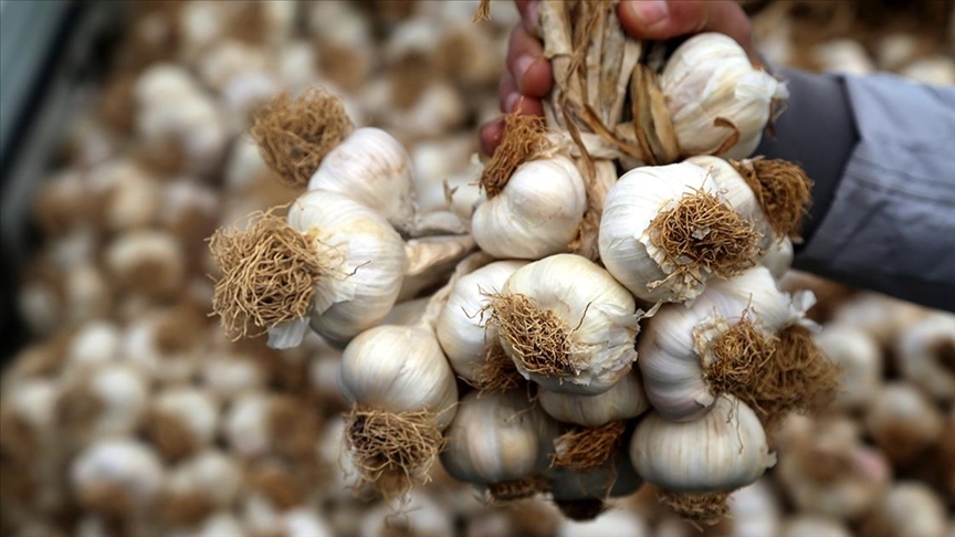 thumbs_b_c_9f7d1eeb1ea9693b1973bcaff55a2f4e