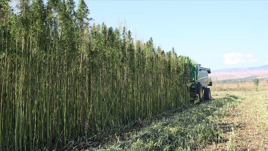 thumbs_b_c_a1408b4755086688907ee357e4979f99