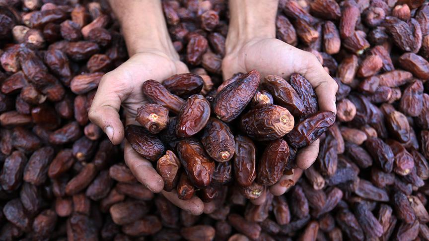 Peygamber Efendimizin Sevdiği Yiyecekler ve Bereketli Tavsiyeler