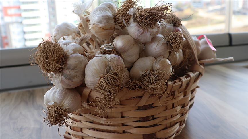 thumbs_b_c_b46c212399335361420dc54d028fdb83