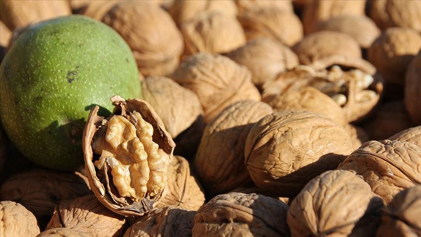 thumbs_b_c_b746ba021bd40a489c8a6ff7007c1835