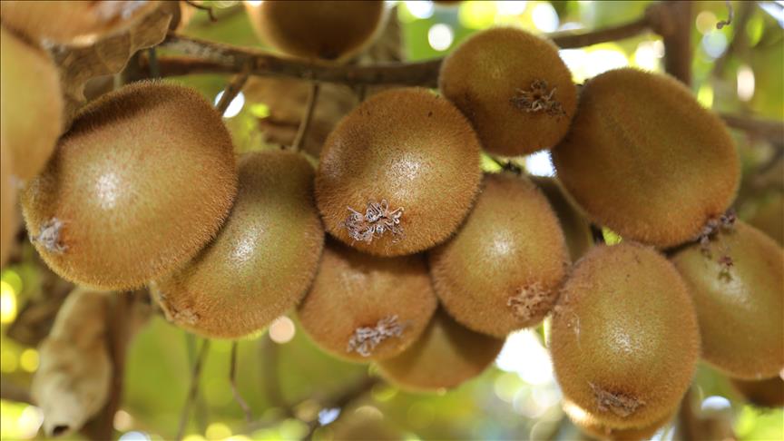 thumbs_b_c_bd8eaf7c431f2e213c38ff72395c3591