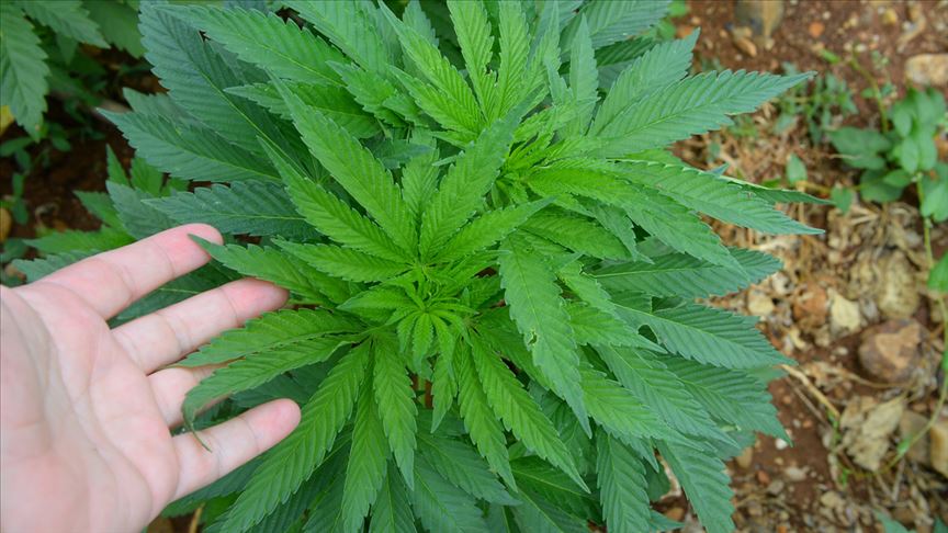 thumbs_b_c_d829273ea3df1b12a9a8f7ff64a8e06f