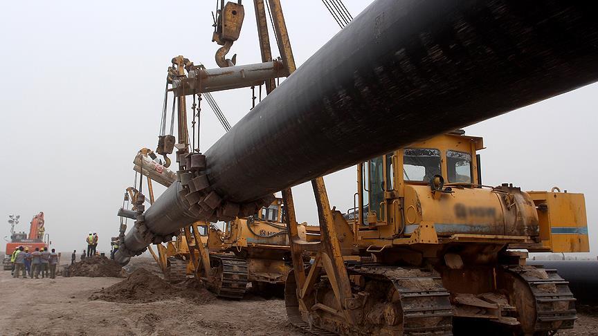 thumbs_b_c_daa979d9d89442f7d1376055ffcb41f3