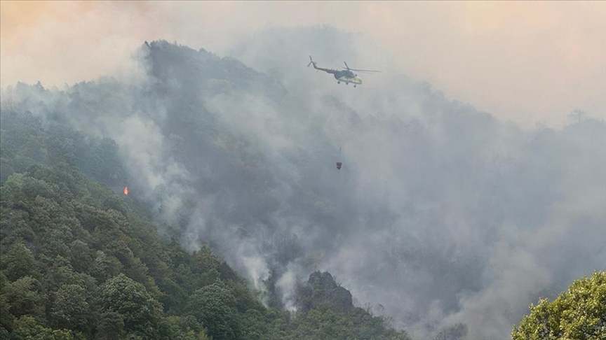 Sakarya'nın Akyazı İlçesinde Orman Yangını ve Yakalanan Şüpheli